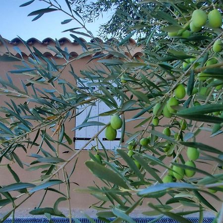 Вилла Reve En Luberon Lauris Экстерьер фото
