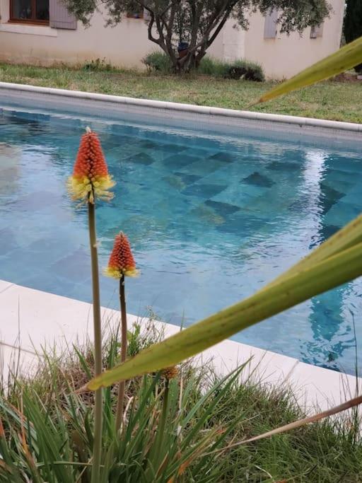 Вилла Reve En Luberon Lauris Экстерьер фото
