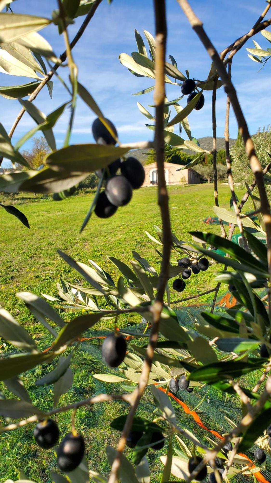 Вилла Reve En Luberon Lauris Экстерьер фото