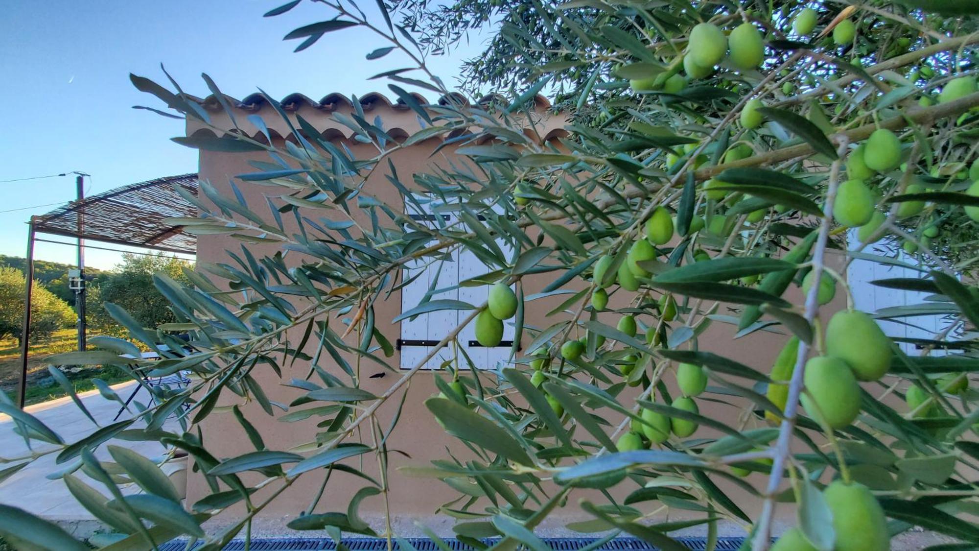 Вилла Reve En Luberon Lauris Экстерьер фото