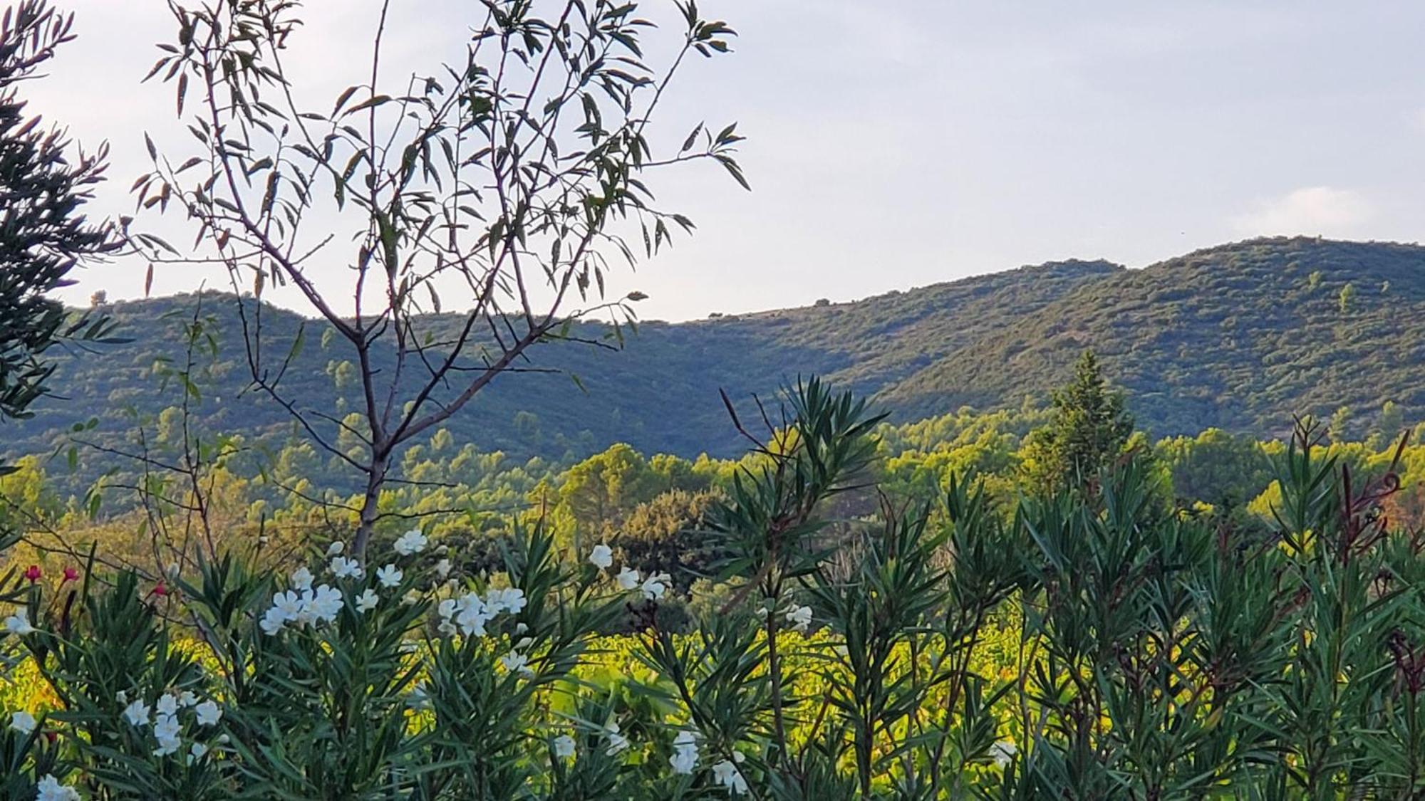 Вилла Reve En Luberon Lauris Экстерьер фото
